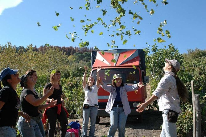 Private 6-Hour Tour of Three Etna Wineries with food&wine tasting - What to know about comfort and accessibility