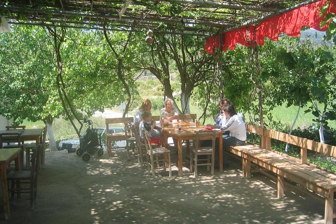 Private Bodrum Village Tour + 1 Glass Free Local Wine - The 30 to 40 minute ride into the countryside