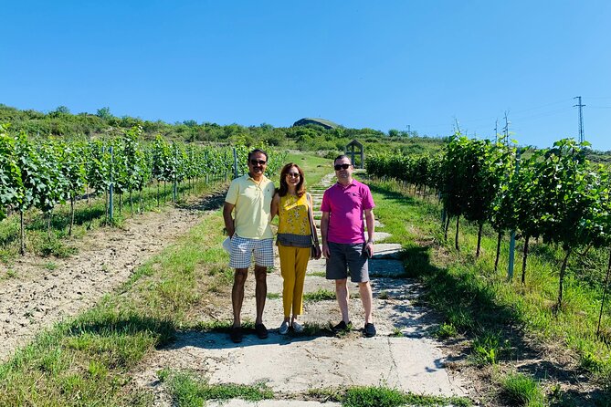 Private Bohemia Wine Tour from Prague with Gourmet Tastings - Leaving Prague for Bohemian Wine Country
