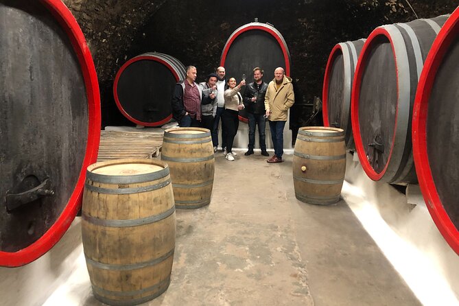 Private Bohemia Wine Tour from Prague with Gourmet Tastings - Velké Žernoseky and the Medieval Cellar