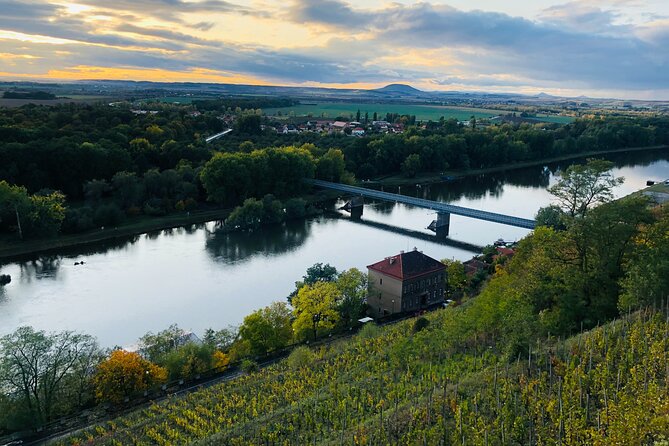 Private Bohemia Wine Tour from Prague with Gourmet Tastings - Třebívlice and a Modern Estate Finish