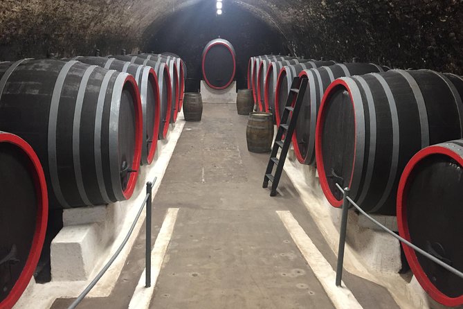 Private Bohemia Wine Tour from Prague with Gourmet Tastings - What the $359.22 Price Really Buys