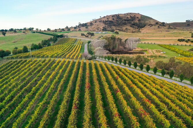 Private Canberra Winery Tour with lunch - Who should book this experience?