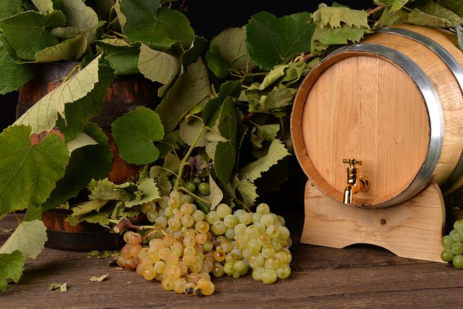 Private Day Tour & Lunch: Parmesan, Wine, and Vinegar Tasting - Who will enjoy this day most?