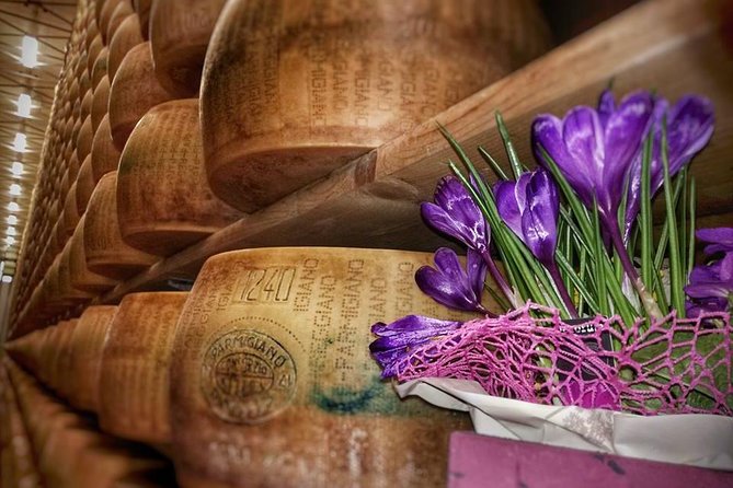 Private Day Tour & Lunch: Parmesan, Wine, and Vinegar Tasting - Timing, cancellation, and practical planning