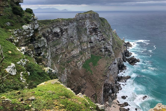 Private Day Tour to Cape Point , Penguins, Wine or Beer Tasting - Why the private format matters on Cape Town’s peninsula