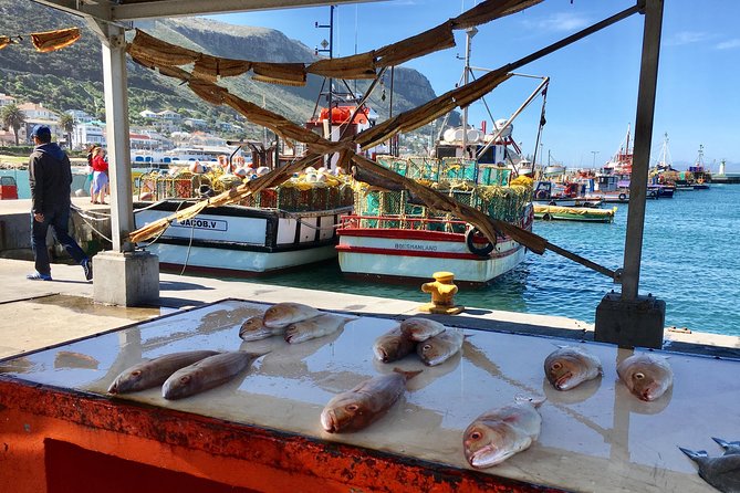 Private Day Tour to Cape Point , Penguins, Wine or Beer Tasting - Cape of Good Hope: wild scenery and a busy schedule