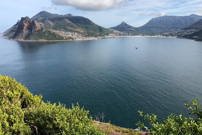 Private Day Tour to Cape Point , Penguins, Wine or Beer Tasting - Lunch near Boulders Beach in Simon’s Town