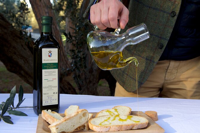 Private Food and Wine Tour in the Cellar with Tastings - Five wines from Abruzzo, with room for new ideas