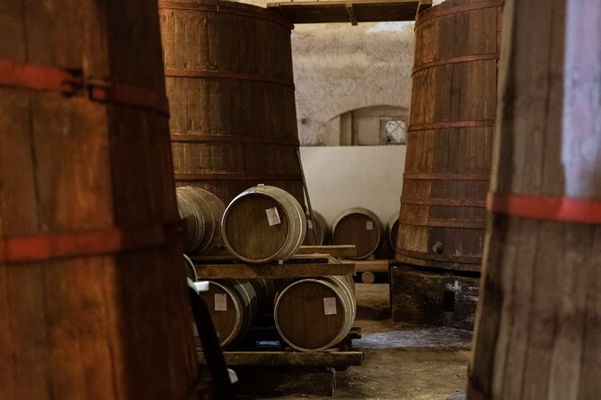 Private Food and Wine Tour in the Cellar with Tastings - Price, timing, and the address to verify