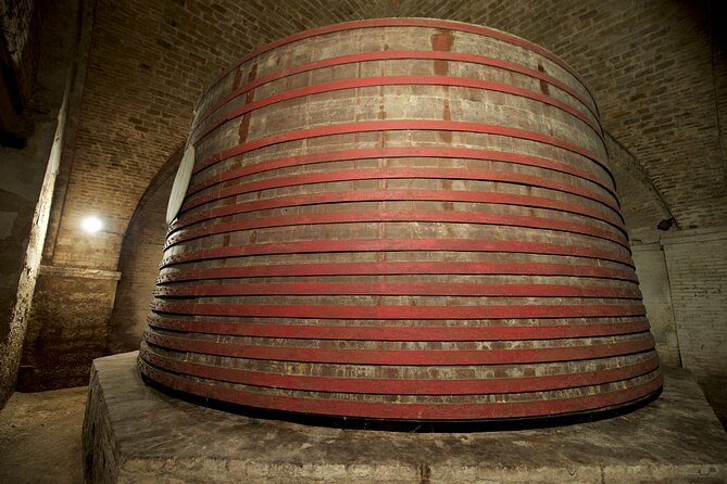 Private Food and Wine Tour in the Cellar with Tastings - Starting with Mazzarosa’s vineyards and olive groves