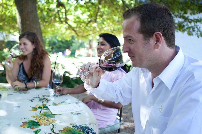 Private Full Day Stellenbosch Wine Tour with Pick Up and Drop Off - Waterford: finish with chocolate and wine