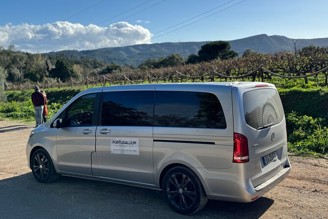 Private Full-Day Wine Tour from Lisbon with Tastings - José Maria da Fonseca: a family wine company with a long story