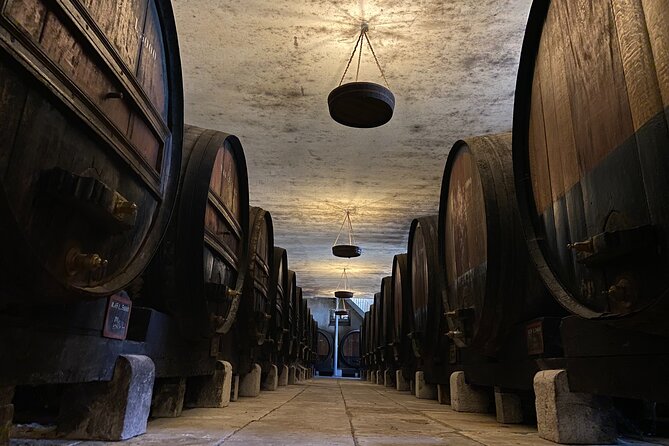 Private Full-Day Wine Tour from Lisbon with Tastings - The guide and vehicle make the difference