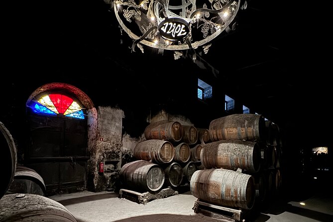 Private Full-Day Wine Tour from Lisbon with Tastings - Arrábida Natural Park and the road south