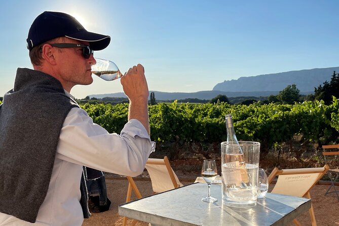 Private Full Day Wine Tour in Provence - Three wineries, three chances to understand Provence wine