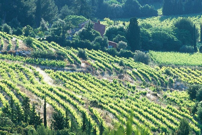 Private Full Day Wine Tour in Provence - Aix-en-Provence, Luberon, and Alpilles pickup options