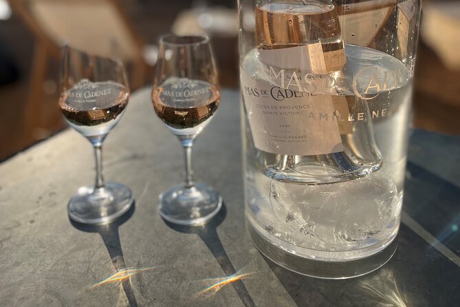 Private Full Day Wine Tour in Provence - The guides are a major part of the experience