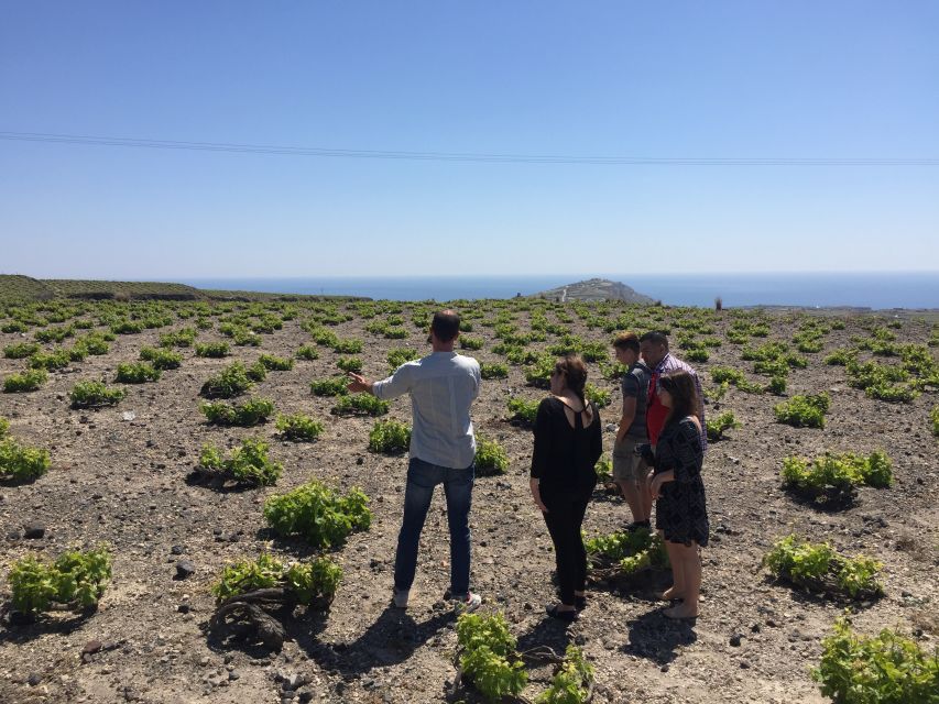 Private Group Visit to Akrotiri & 3 Wineries with Tastings - The guides are a major part of the experience