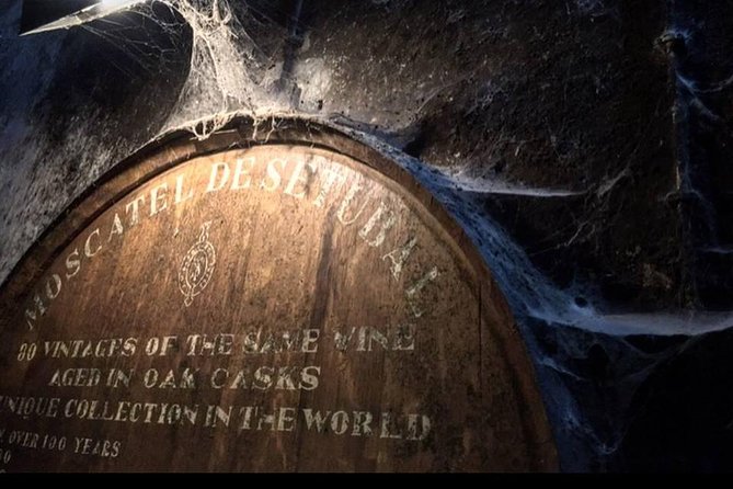 Private Lisbon Arrabida Wine Tour: Food & Wines, Mountain and Sea - Why Arrábida Makes a Fine Escape From Lisbon