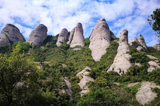 Private Montserrat with Lunch and Wine Tasting from Barcelona - Montserrat in about three hours