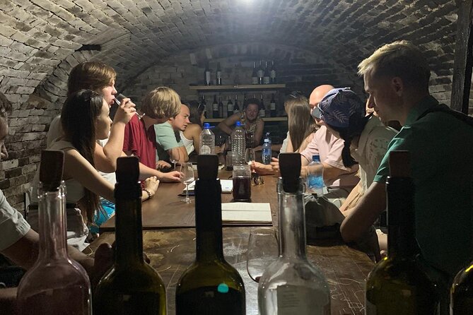 Private Novi Sad, Titanic wine tasting and Farmer's House - Why this Belgrade day trip works