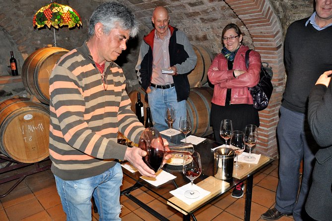Private Priorat Tour with Wine Tastings & Lunch from Barcelona - Clos Figueras, old vines, and the main lunch