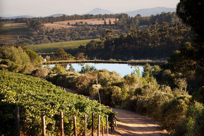 Private Stellenbosch, Franschhoek and Paarl Wine Tour - Glenelly: a scenic lunch break, with food costs extra
