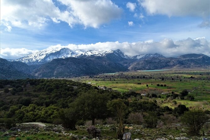 Private Tour-Knossos Palace Zeus Cave Olive Oil Mill & Wine - Krasi’s ancient plane tree and the Aposelemis Dam