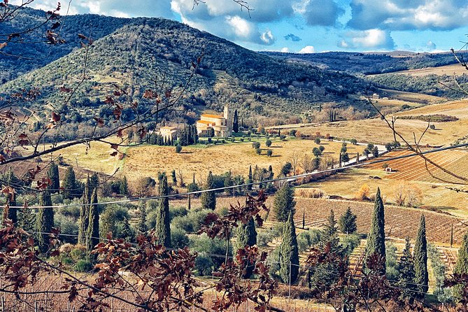 Private Tour: Montalcino Wine Tasting Experience - A practical look at pickup and timing
