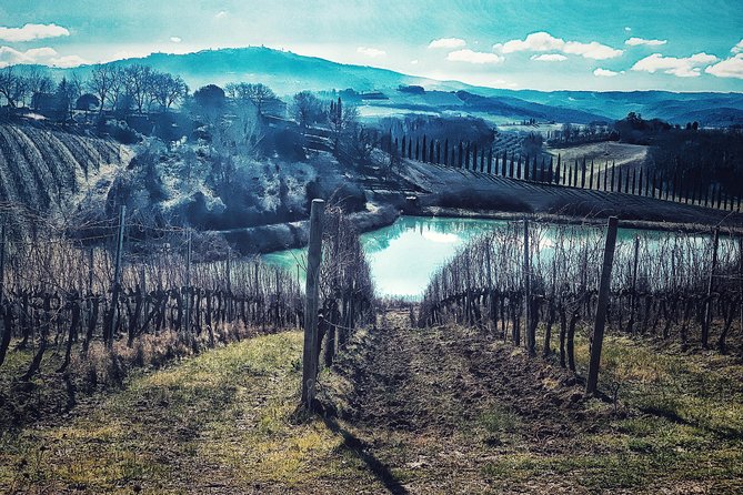Private Tour: Montalcino Wine Tasting Experience - Who will get the most from this tour