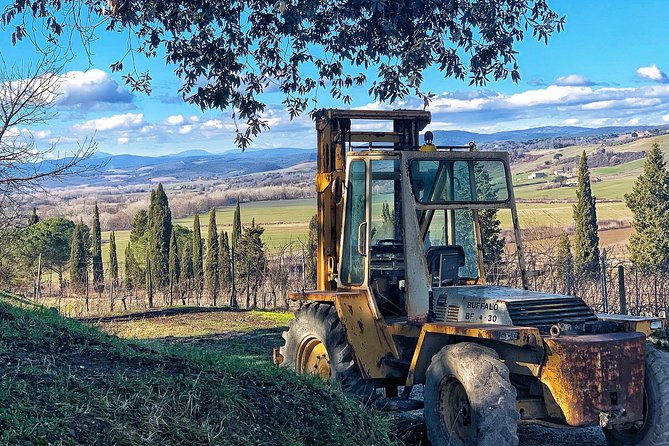 Private Tour: Montalcino Wine Tasting Experience - Cancellation and booking advice