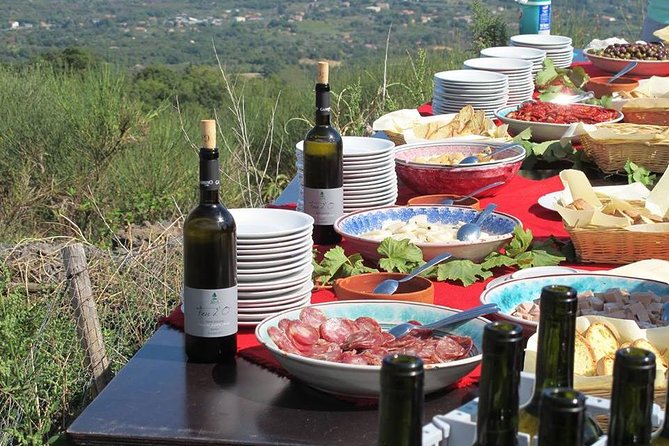 Private tour of Etna and Winery Visit with Food and Wine Tasting from Taormina - Zafferana Etnea and the taste of volcanic soil