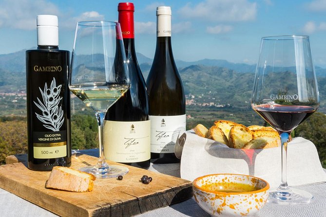 Private tour of Etna and Winery Visit with Food and Wine Tasting from Taormina - Walking among the Silvestri Craters at 2,000 meters