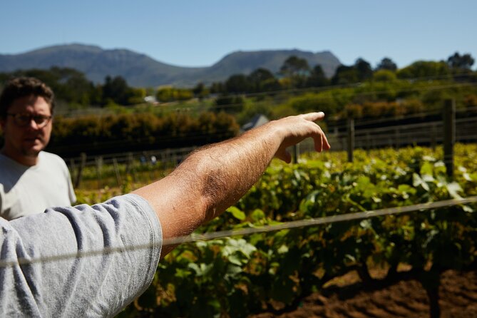 Private Tour of Top 5 Stellenbosch Wineries From Cape Town - Delaire Graff brings high-end style to Helshoogte