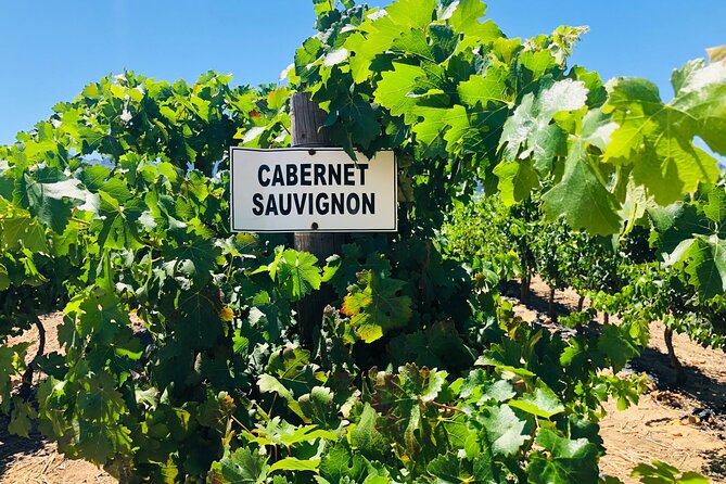 Private Tour of Top 5 Stellenbosch Wineries From Cape Town - Waterford Estate begins with mountain views
