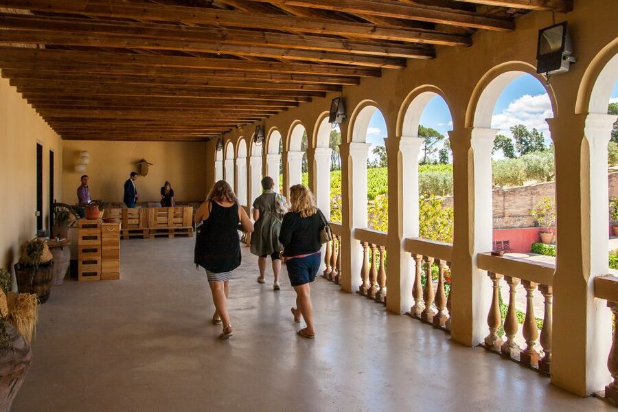 Private Wine, Tapas & Cava Experience from Barcelona - Who should book this experience?