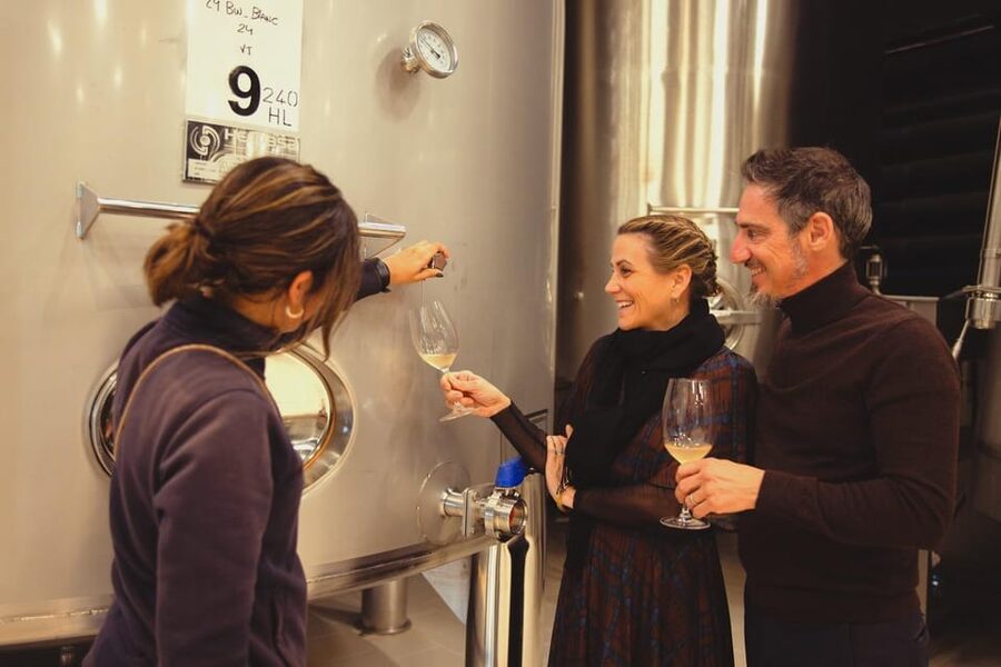 Private Wine, Tapas & Cava Experience from Barcelona - Second stop: wine at a 10th-century castle