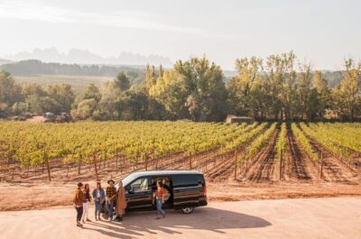 Private Wine, Tapas & Cava Experience from Barcelona