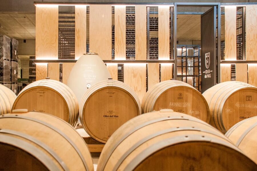 Private Wine, Tapas & Cava Experience from Barcelona - What the two regions add to your glass