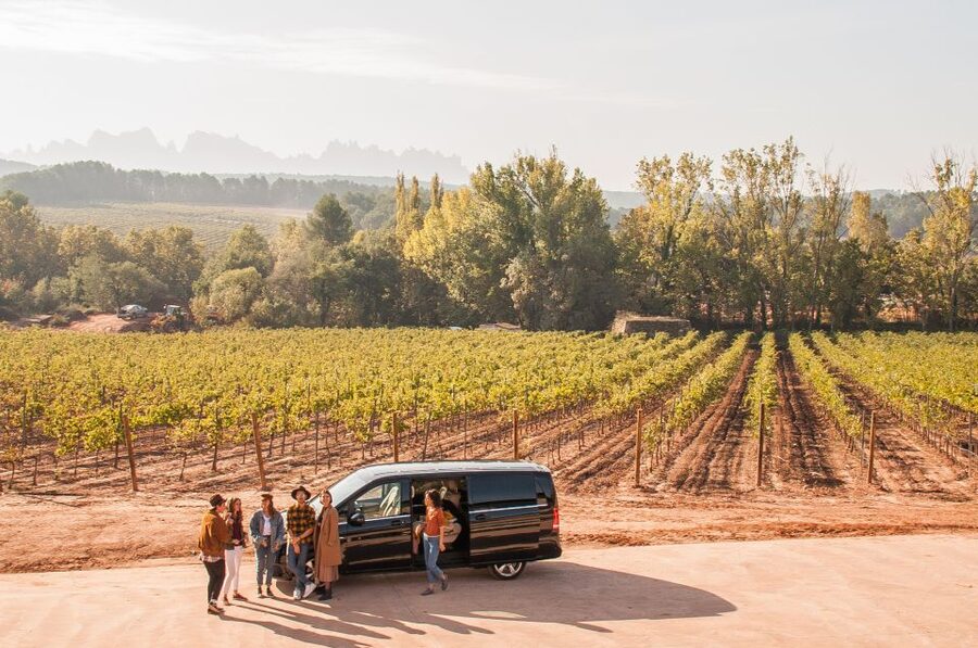 Private Wine, Tapas & Cava Experience from Barcelona - First stop: cava beneath the Penedès vineyards