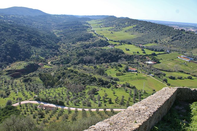 Private Wine Tasting in the Setúbal Wine Region, from Lisbon - José Maria da Fonseca: the essential first stop