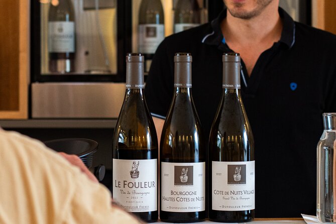 Private wine tasting workshop by Dufouleur - Bourgogne - Buying Wine After the Tasting