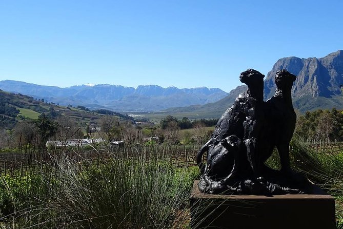 Private Wine Tour with Wine Expert to Stellenbosch-Franschhoek Wine Regions - Kanonkop and the Value of Contrasting Estates