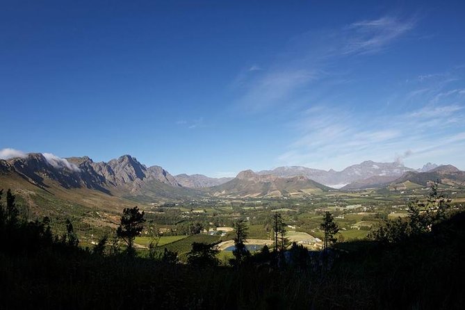 Private Wine Tour with Wine Expert to Stellenbosch-Franschhoek Wine Regions - Why the Private Guide Matters