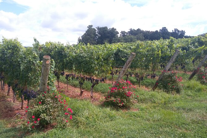 Private Wine Tours (Minimum 3 & Maximum 6 ) Pickup Maximum 30 Mi - What the $118 price really buys you