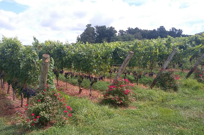 Private Wine Tours (Minimum 3 & Maximum 6 ) Pickup Maximum 30 Mi - The Rotunda stop and what it means