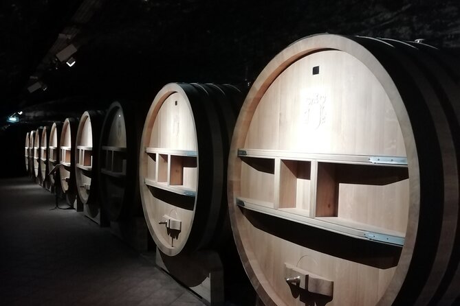 Provence Cru Wine Small-Group Half-Day Tour from Avignon - Leaving Avignon for the southern Rhône