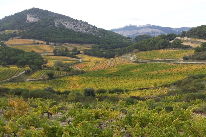 Provence Cru Wine Small-Group Half-Day Tour from Avignon - Châteauneuf-du-Pape and the famous rolled pebbles
