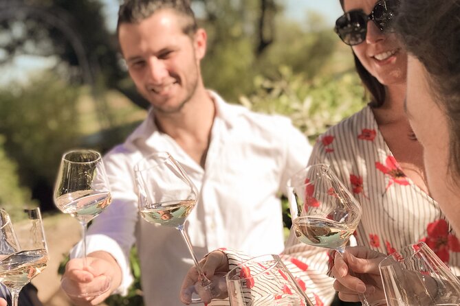 Provence Wine Tour - Small Group Tour from Cannes - The final organic estate and the visual finish